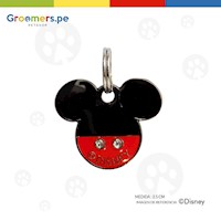 Placas Originales de Identificación Disney #3 Mickey (2,5 cm)